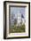 Midtown Skyline from Piedmont Park, Atlanta, Georgia, United States of America, North America-Gavin Hellier-Framed Photographic Print