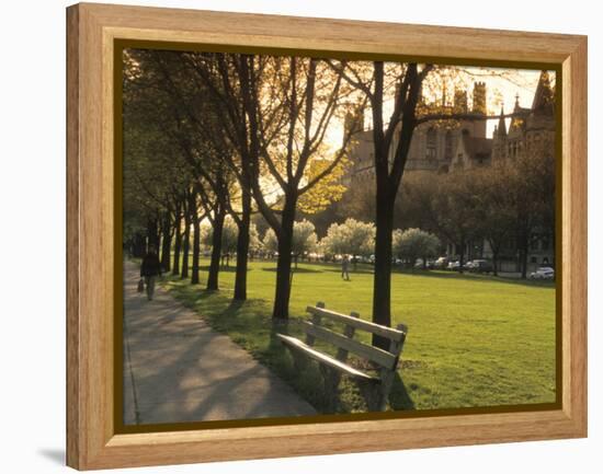 Midway Plaisance at University of Chicago, Chicago, Illinois, USA-Alan Klehr-Framed Premier Image Canvas