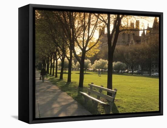 Midway Plaisance at University of Chicago, Chicago, Illinois, USA-Alan Klehr-Framed Premier Image Canvas