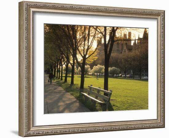 Midway Plaisance at University of Chicago, Chicago, Illinois, USA-Alan Klehr-Framed Photographic Print