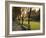 Midway Plaisance at University of Chicago, Chicago, Illinois, USA-Alan Klehr-Framed Photographic Print