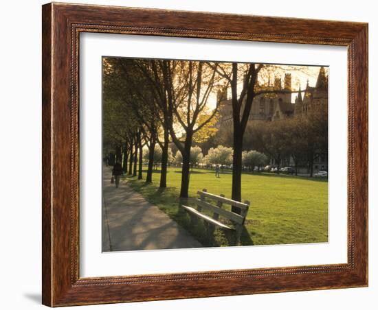 Midway Plaisance at University of Chicago, Chicago, Illinois, USA-Alan Klehr-Framed Photographic Print