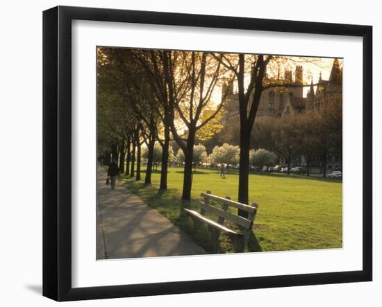 Midway Plaisance at University of Chicago, Chicago, Illinois, USA-Alan Klehr-Framed Photographic Print