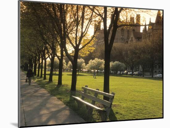 Midway Plaisance at University of Chicago, Chicago, Illinois, USA-Alan Klehr-Mounted Photographic Print