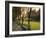 Midway Plaisance at University of Chicago, Chicago, Illinois, USA-Alan Klehr-Framed Photographic Print