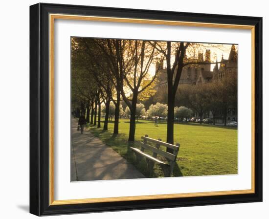 Midway Plaisance at University of Chicago, Chicago, Illinois, USA-Alan Klehr-Framed Photographic Print