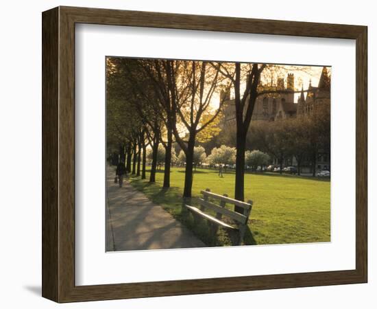 Midway Plaisance at University of Chicago, Chicago, Illinois, USA-Alan Klehr-Framed Photographic Print