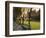 Midway Plaisance at University of Chicago, Chicago, Illinois, USA-Alan Klehr-Framed Photographic Print