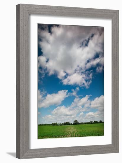 Midwest Corn Field-Steve Gadomski-Framed Photographic Print