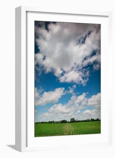 Midwest Corn Field-Steve Gadomski-Framed Photographic Print