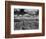 Midwestern Wheat Field at Harvest Time-Bettmann-Framed Photographic Print