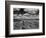 Midwestern Wheat Field at Harvest Time-Bettmann-Framed Photographic Print