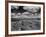 Midwestern Wheat Field at Harvest Time-Bettmann-Framed Photographic Print