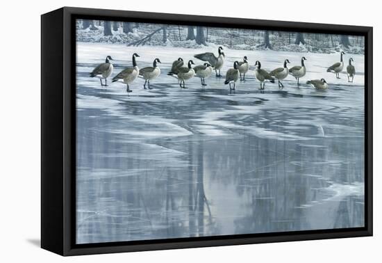 Midwinter Thaw-Wilhelm Goebel-Framed Premier Image Canvas