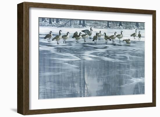 Midwinter Thaw-Wilhelm Goebel-Framed Giclee Print