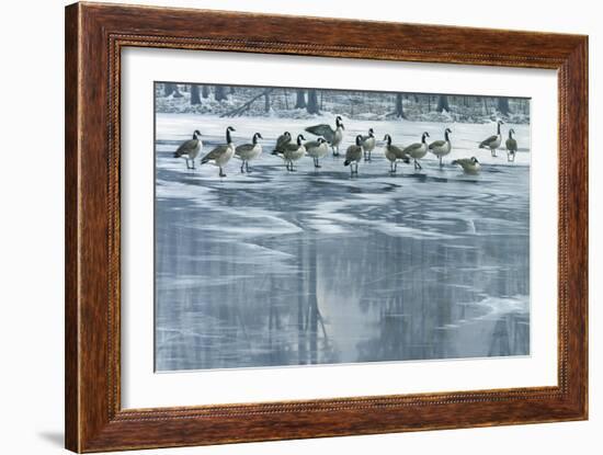 Midwinter Thaw-Wilhelm Goebel-Framed Giclee Print