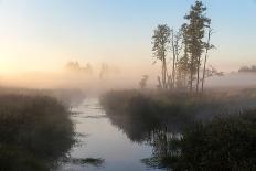 The Morning Fog in the Meadow Bialowieza Forest, Poland, Europe-Mieczyslaw Wieliczko-Photographic Print