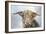 Mighty Bull-Dina Perejogina-Framed Art Print