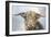 Mighty Bull-Dina Perejogina-Framed Art Print