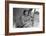 Migrant Agricultural Worker's Family-Dorothea Lange-Framed Art Print