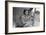 Migrant Agricultural Worker's Family-Dorothea Lange-Framed Art Print