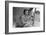 Migrant Agricultural Worker's Family-Dorothea Lange-Framed Art Print