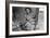 Migrant Agricultural Worker's Family-Dorothea Lange-Framed Art Print