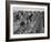 Migrant carrot pullers in California, 1937-Dorothea Lange-Framed Photographic Print