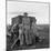 Migrant farm labourer with his children on the road in Texas, 1938-Dorothea Lange-Mounted Photographic Print