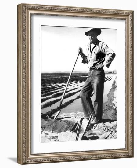 Migrant Irrigator-Dorothea Lange-Framed Photo