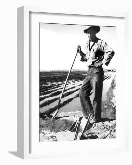 Migrant Irrigator-Dorothea Lange-Framed Photo