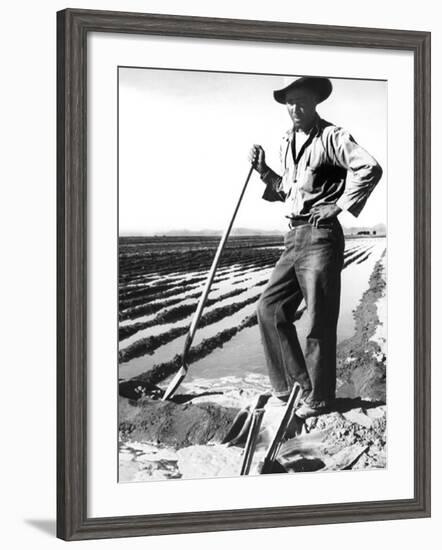 Migrant Irrigator-Dorothea Lange-Framed Photo