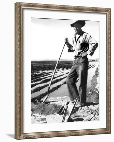 Migrant Irrigator-Dorothea Lange-Framed Photo