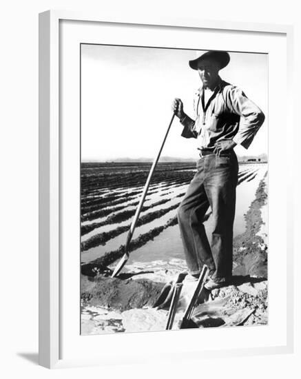 Migrant Irrigator-Dorothea Lange-Framed Photo