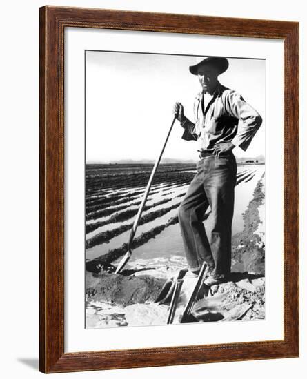 Migrant Irrigator-Dorothea Lange-Framed Photo