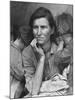 Migrant Mother, Nipomo, California-Dorothea Lange-Mounted Giclee Print