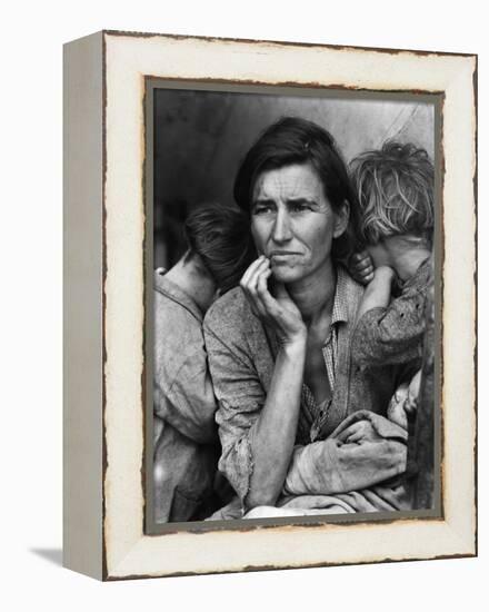 Migrant Mother-Science Source-Framed Premier Image Canvas