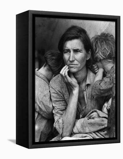 Migrant Mother-Science Source-Framed Premier Image Canvas