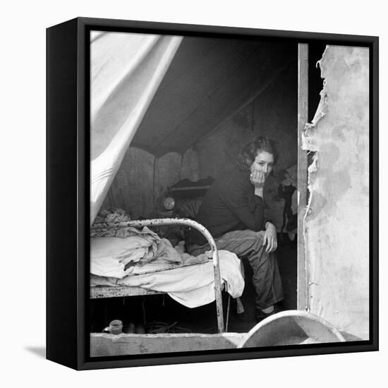 Migrant Worker, 1936-Dorothea Lange-Framed Premier Image Canvas