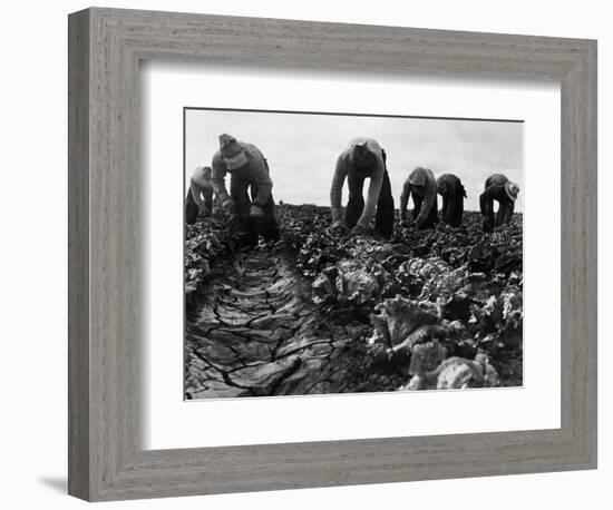 Migrant Workers, 1935-Dorothea Lange-Framed Giclee Print