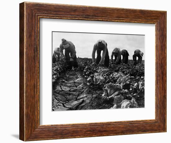 Migrant Workers, 1935-Dorothea Lange-Framed Giclee Print