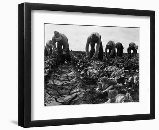 Migrant Workers, 1935-Dorothea Lange-Framed Giclee Print