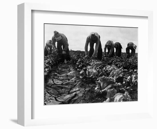 Migrant Workers, 1935-Dorothea Lange-Framed Giclee Print