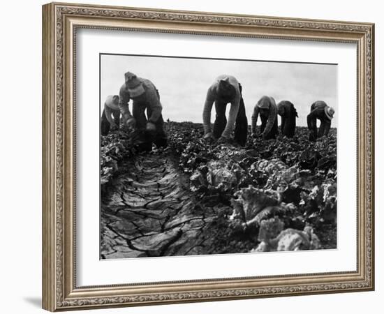 Migrant Workers, 1935-Dorothea Lange-Framed Giclee Print