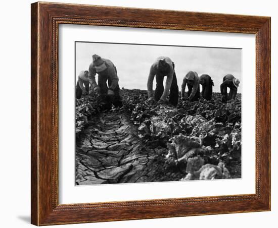 Migrant Workers, 1935-Dorothea Lange-Framed Giclee Print