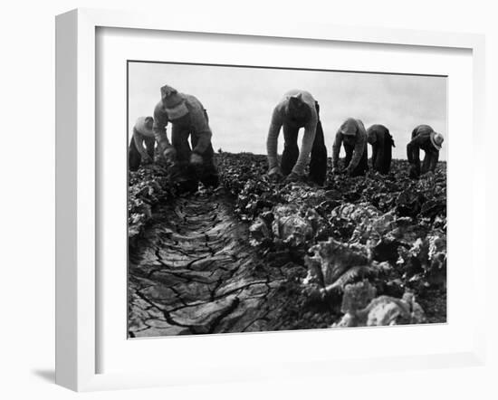 Migrant Workers, 1935-Dorothea Lange-Framed Giclee Print