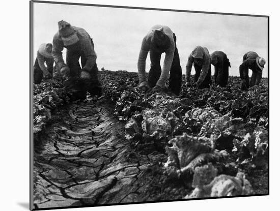 Migrant Workers, 1935-Dorothea Lange-Mounted Giclee Print