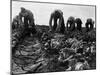 Migrant Workers, 1935-Dorothea Lange-Mounted Giclee Print