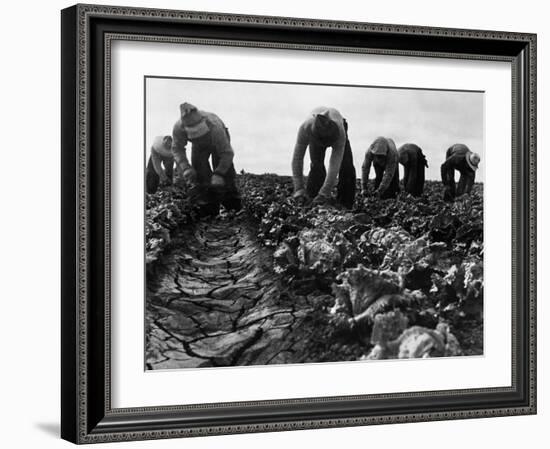 Migrant Workers, 1935-Dorothea Lange-Framed Giclee Print