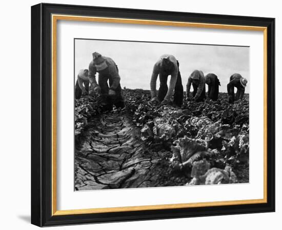 Migrant Workers, 1935-Dorothea Lange-Framed Giclee Print